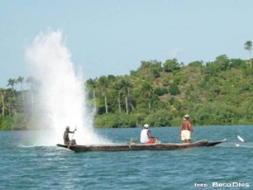 Bomb fishing in Itaparica.
