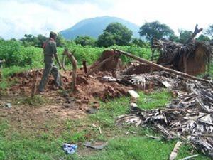 Villager's House Damaged by elephants.