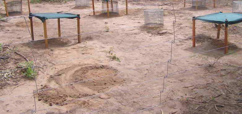 The corner of a livesock exclosure, showing 7 strand fence and shade cloth for shade.
