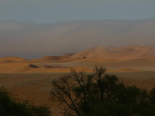 A morning fog over the Namib dunes.