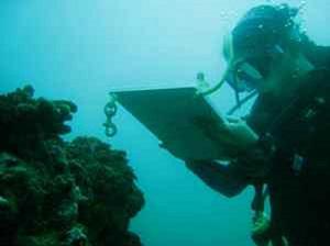 Caño Island reef underwater survey.