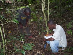 Recording observations on large mammals in Ayum Forest Reserve.