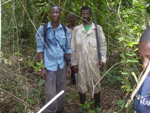 Surveying for primates in the Krokosua Hills Forest Reserve.