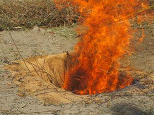 Burning of Eupatorium adenophorum and E. Chromolaena (Banmara).