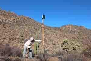 Placing a bat detector at Los Cirios Biosphere Reserve, Baja California.