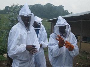 Trainees learning how to put on Bee suits and gloves and when they are needed