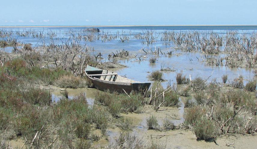Coastal lagoons are ecosystems that produce more ecosystem services than any other such system.
