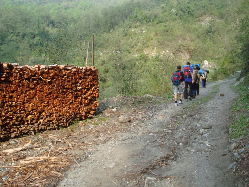 Firewood is the common resources offered by Annapurna Conservation Area to locals. On the background tourists returning from Sikles (tourist) village.