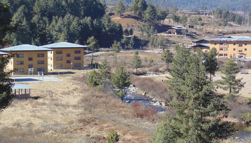 Rodhungthang—one of the former roosting habitats of BNC.