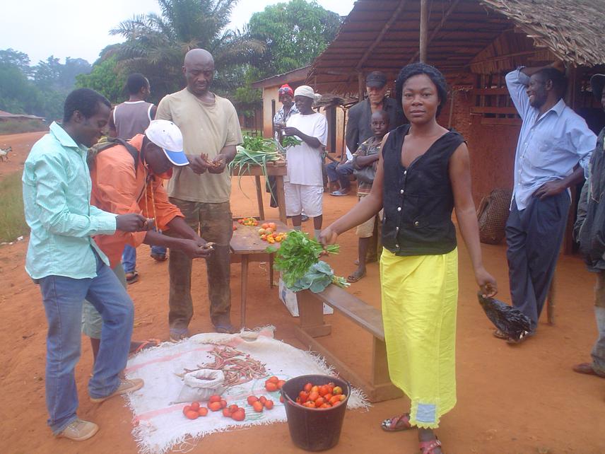 Marketing of various vegetables products in the villages.