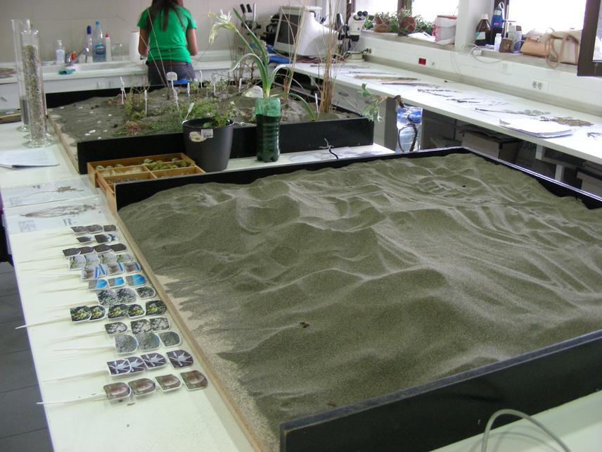 Sand dunes in the lab.
