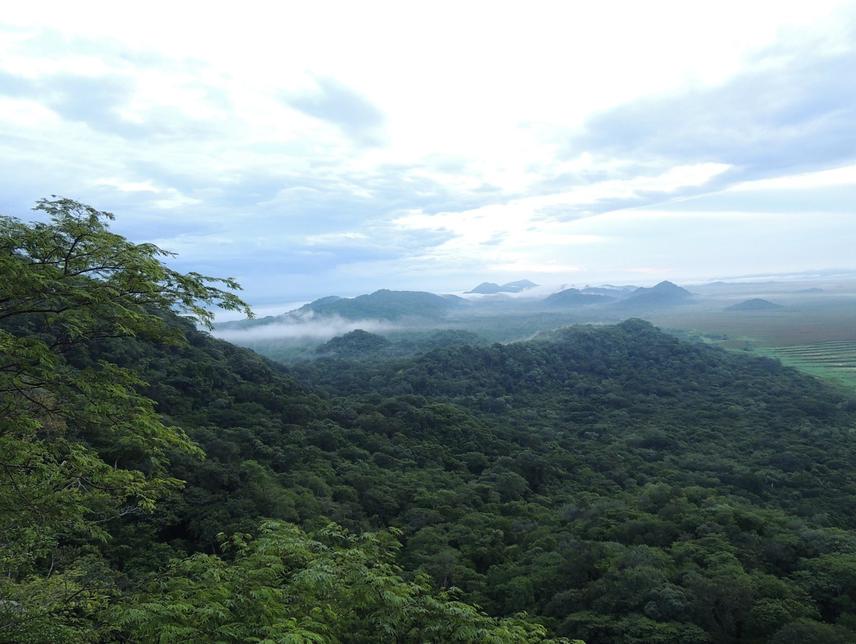 Parque Nacional Palo Verde, Bagaces, Guanacaste, Costa Rica.