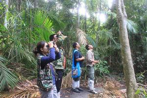 Bird survey at Khao Yai National Park.