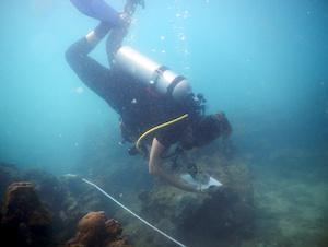 Surveyors collecting data on coral reefs.