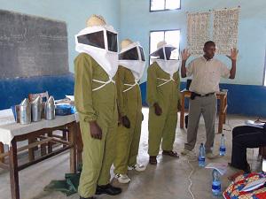 Ready for Honey harvest. A trainer from Tabora Beekeeping Institute demonstrating how to protect from bee sting