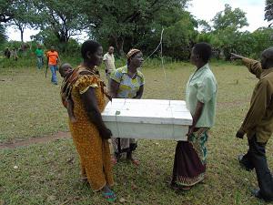 Women, member of the beekeeping group carrying beehives to the community forest