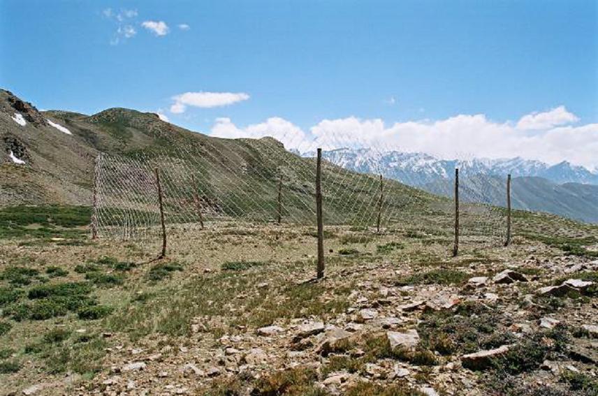 One of the herbivore exclosures setup in Spiti region of northern India.