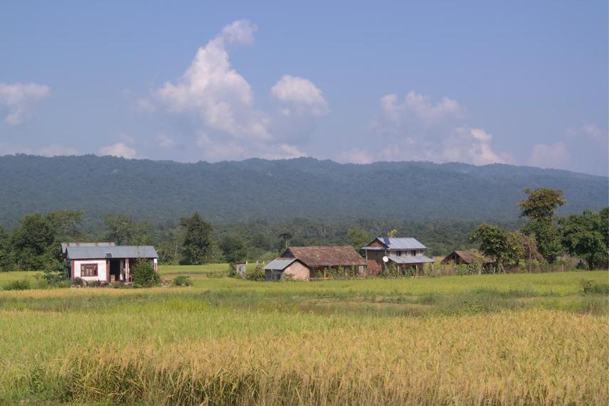 Siwalik hill of Chitwan National Park and local livelihoods of Madi valley, Chitwan.