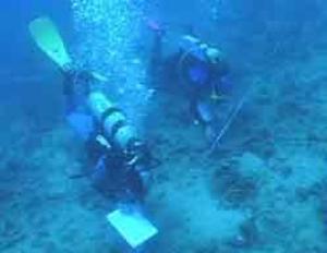 Underwater survey work.