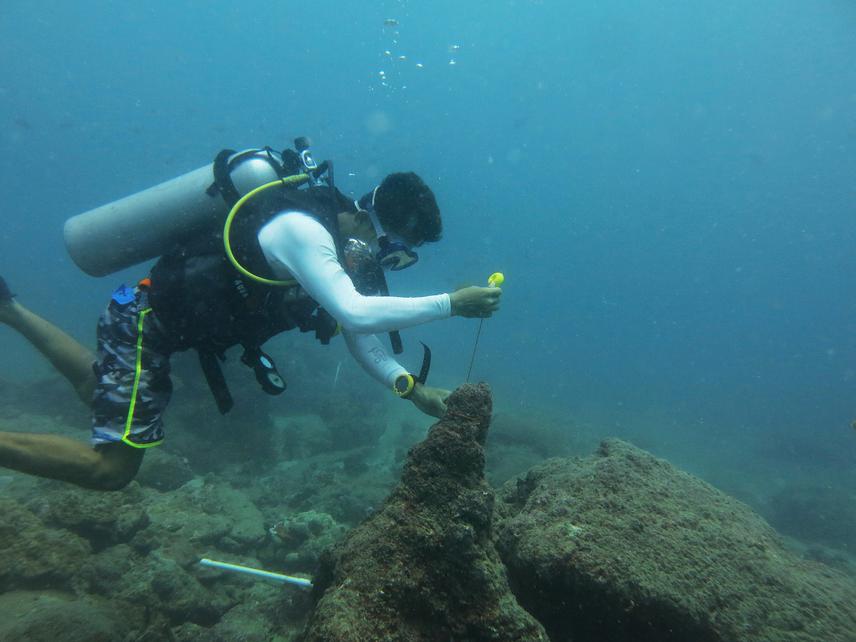 Saw Darrick from DIVEIndia deploying a light data logger.