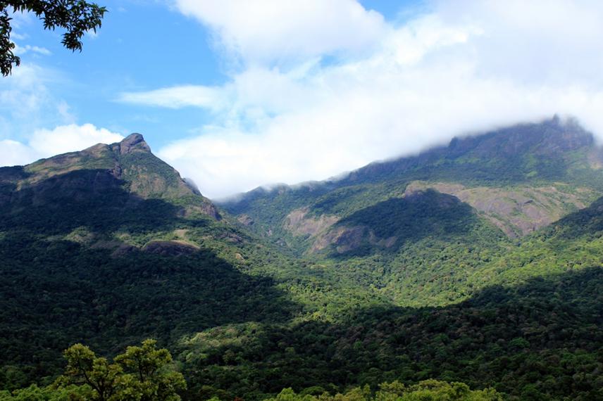 High Range Mountain Idukki Landscape (HRIML) is extremely rich biological diversity especially in chiroptera diversity.