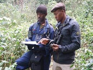 Mfombo and Senghore on bird survey in the Mt Mbam.