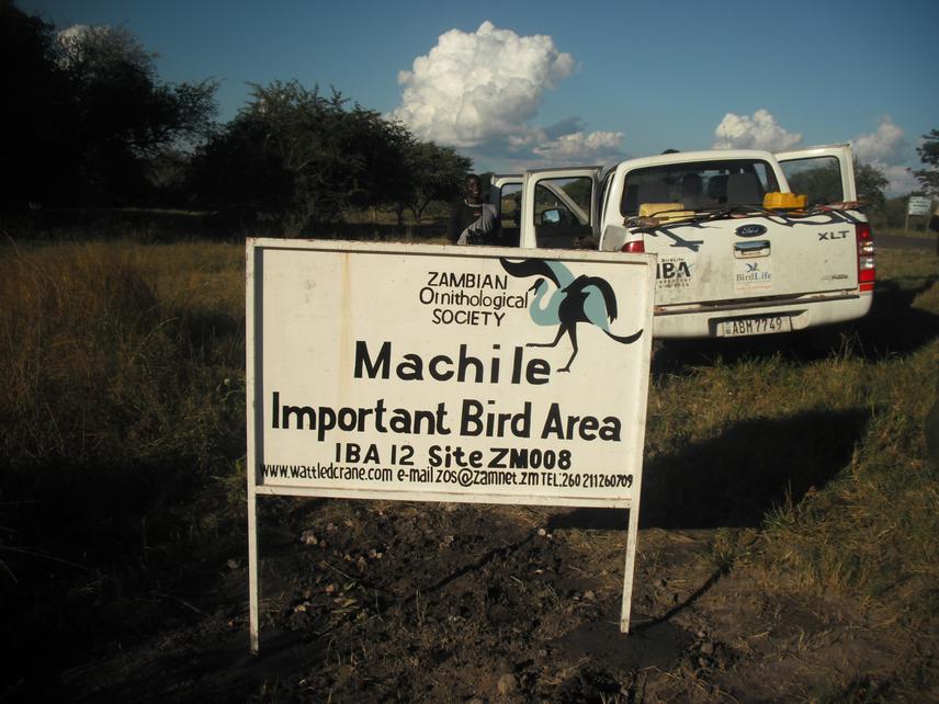 Billboard at road junction 602km from Lusaka and 48 km to Magumwi Village and proposed project area in Machile IBA.