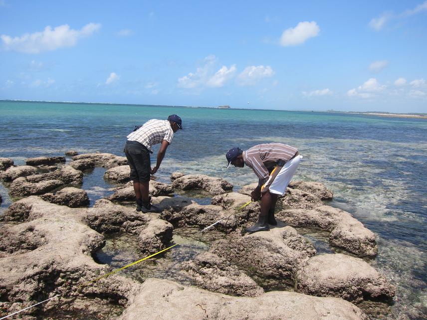 Carrying out survey in the rocky Intertidal area.