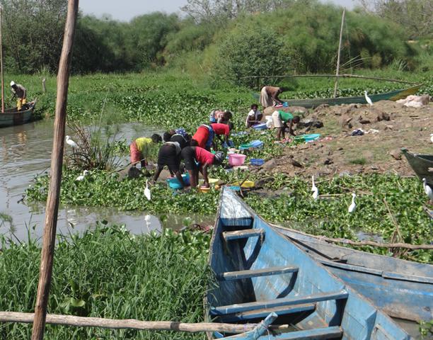 Women cleaning Haplochromine ssp (fulu) fish by the banks of river Nyando.
