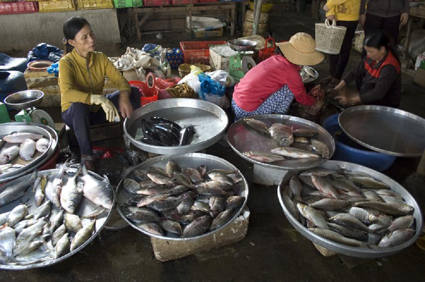 Fishes sold by local people in the market near the Dong Nai River.