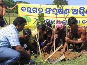Planting a new banyan sapling at Thokar village.