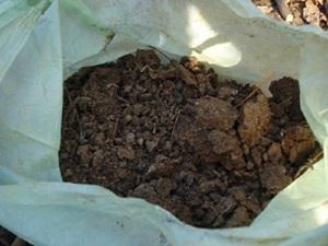 Composting fertilizer from water Hyachinth.