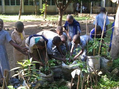 Pupils of Joel Omino school working on the school tree and vegetable nursery set up during the project.