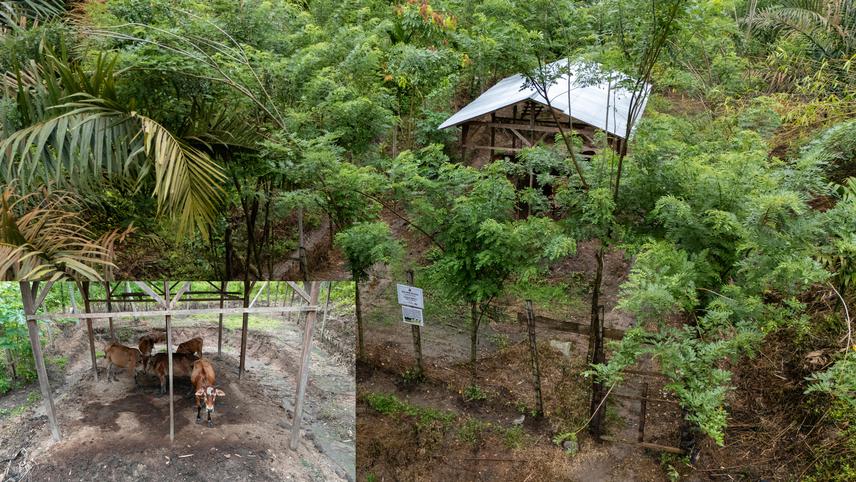 A survey of the tiger-proof enclosure design built by Yayasan SINTAS Indonesia and the Natural Resources Conservation Agency in a village that has previously experienced Tiger-Human conflict. ©Yayasan SINTAS Indonesia.