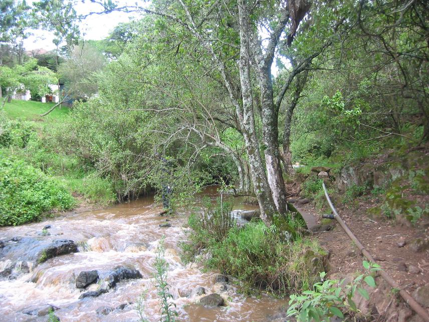 Upper River Njoro during a rainy season.