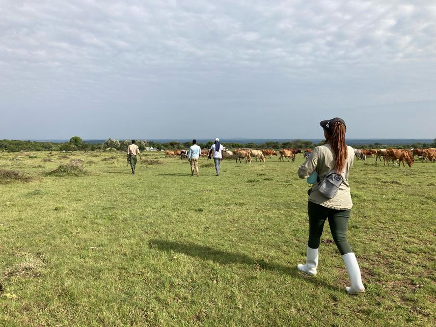 Advising on the field methods that I am using for my data collection in Maasai Mara. ©Dr Antonio Uzal.