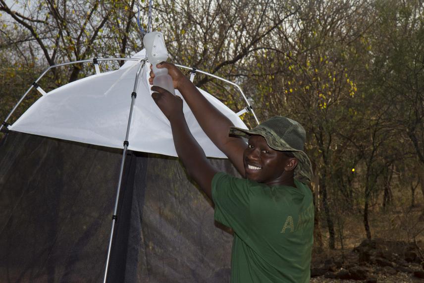 Tlaishego (myself) deploying an insect trap. © Ernest Seamark