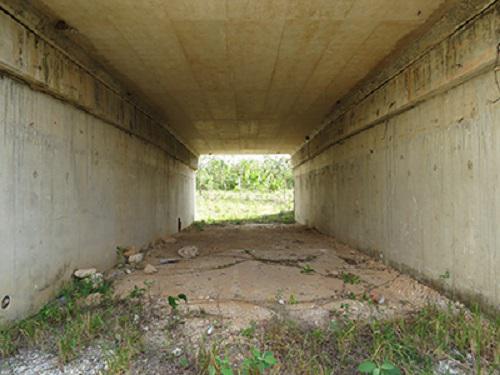 Wildlife underpass (3x4.5m) this one is accompanied with drift fencing to chanel wildlife inside. You can see this one has pretty clear view across the highway
