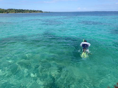 Marine Biology graduate from the International Maritime University of Panama swims a transect in the eastern part of the archipelago. © Megan Chevis