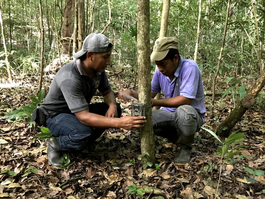 Victor and Rigober to, who are community monitors, deploying a camera trap in Yaxchilán Natural Protected Area. ©Paulina Arroyo.