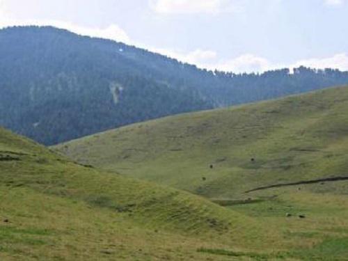 Gishwati area deforested for animal grazing.