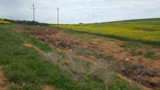 Degradation of Renosterveld is still very much an ongoing problem.