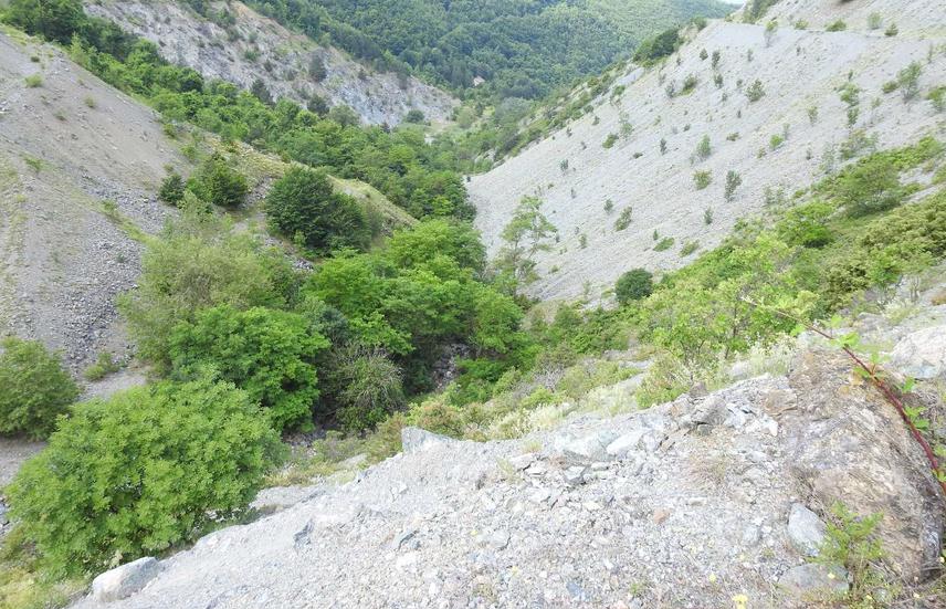 Prime habitats for Rock Partridge in E Serbia.