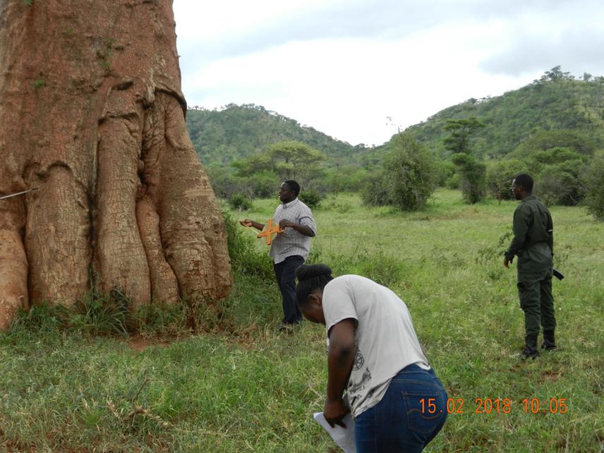 Upendo, field assistant and the Park guard during field data collection in Mkomazi National Park