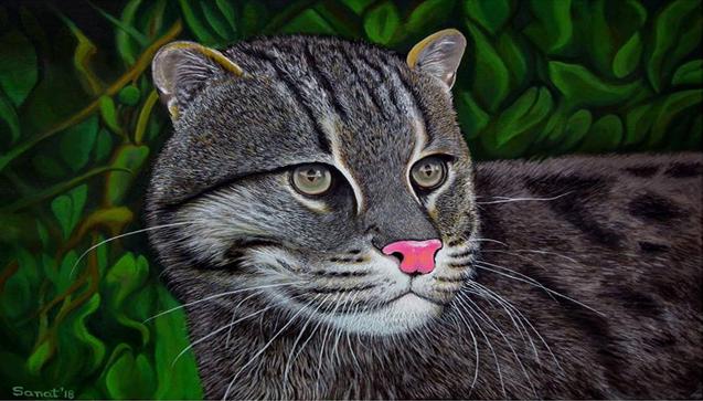 Acrylic Painting of Fishing Cat. ©Sanat Das.