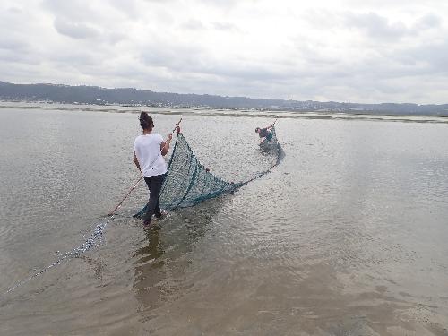 Seine netting for Juvenile Fish in the Knysna Estuary © Carolin Wilhelm