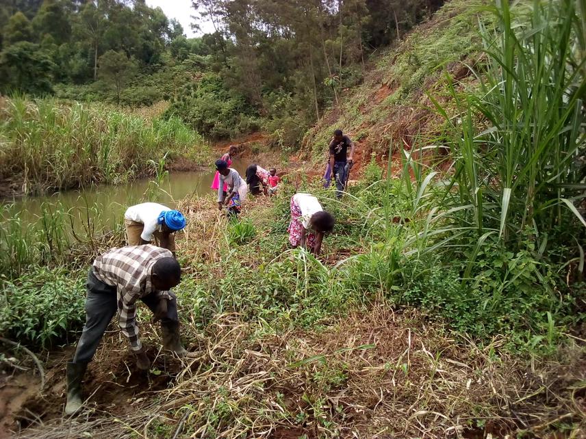 Tree planting activities along the river system in eastern Nyandarwa.