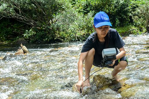 Ms. Thao (project leader) measured water conditions of P. deauratus.