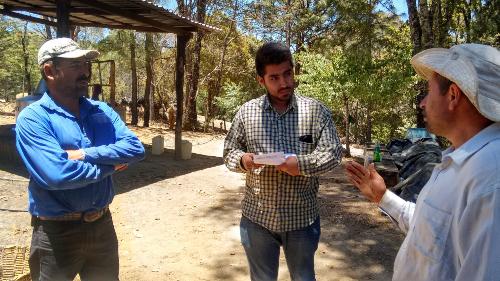 Interview with raicilla producers within an agroforestry system of Agave rhodacantha and Agave angustifolia in Chacala, Cabo Corrientes, Jalisco, México. © Oassis Huerta