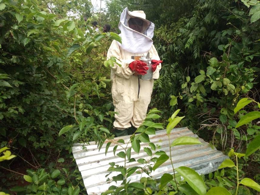 One of the beneficiaries of the beekeeping training wearing the bee suit with the bee smoker in the hands to control the beehive (practice phase).
